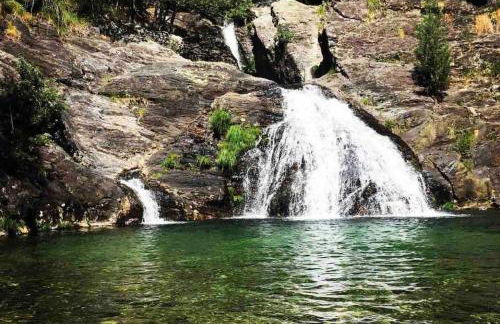 Oliveira's Little House - Foto 17