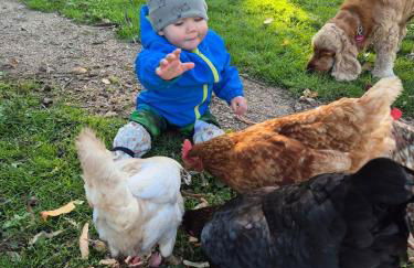 Ferienhaus Schilz II - Urlaub auf dem Bauernhof - Foto 12