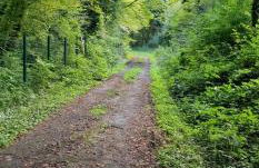 La Dame - Parking Privé GRATUIT Proche GE Alstom & Centre-Ville - Foto 19