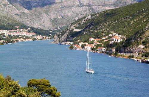 Family-friendly apartments with swimming pool Sustjepan, Dubrovnik - 17308 - Foto 50