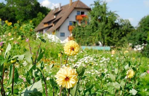 Mayer Burghöfe - Foto 40