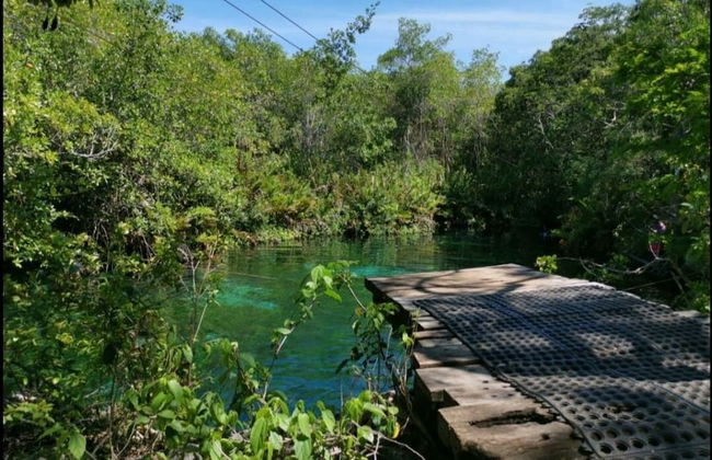 Jungle Penthouse - Photo 20