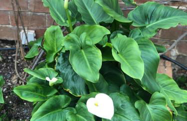 Dúplex con vistas panorámicas - Foto 40