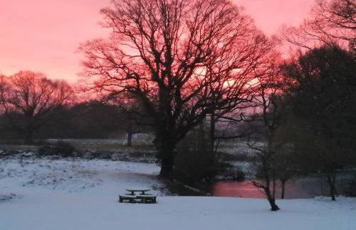 New Toasty Nook - Foto 28