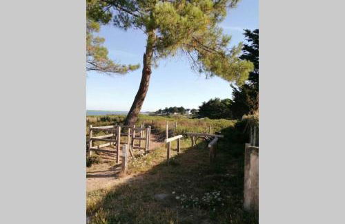 Villa bord de mer avec piscine et jacuzzi - Foto 31