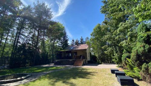 Domek Marzeń Powidz - Foto 2, Garden, Garden view