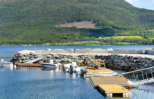 Holiday Home in EidsvÃ¥g - Photo 60