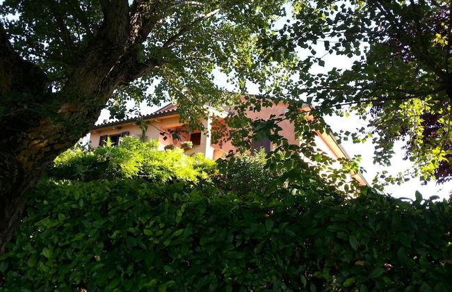 Agriturismo Il Borghetto - Photo 49