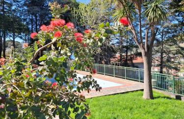 Le Mimose Garden - Photo 28