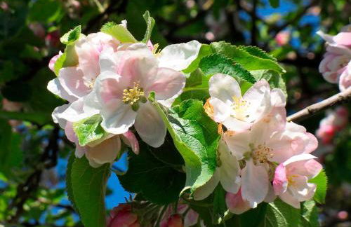 Ferienhof Manowski Nr1 - Foto 13