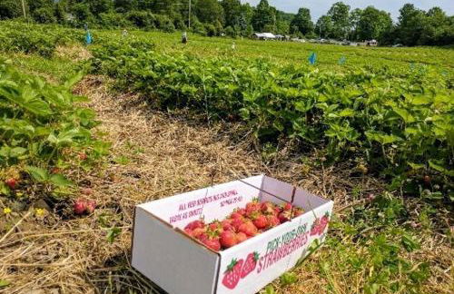 Copake Lakes Hidden Treasure - Foto 56