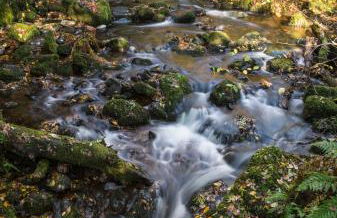 Dollar Apartments-39 Bridge Street - Photo 70