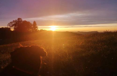 Rechenpeterhäusle - Foto 14