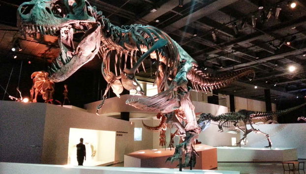 Houston Museum of Natural Science