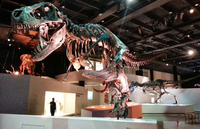 Houston CityPASS® - Foto 3