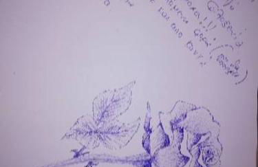 C & A House - Foto 18