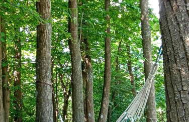 Cascina Marasca Appartamento Viola - Photo 12