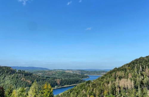 Harzpur Lodge - Pure Entspannung in purer Natur - Foto 56