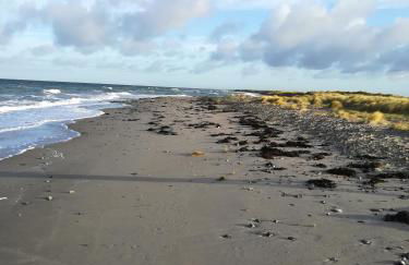 InselGlück - Foto 27