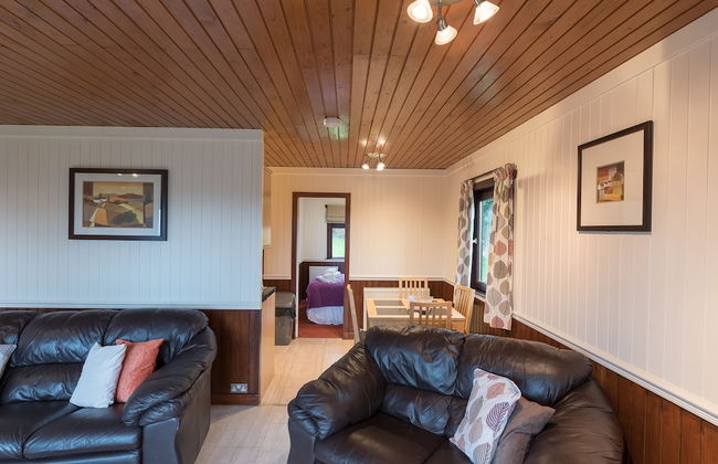 Conifer Lodge 25 With Hot Tub, Newton Stewart - Foto 8