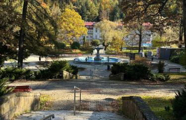 Różany Ogród - Foto 5