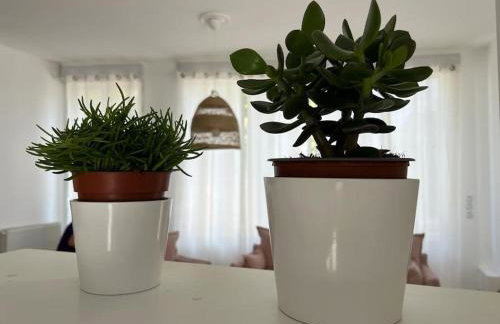 Belle et confortable maison de ville - Foto 15