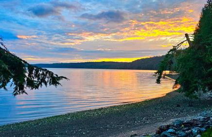 Forest Bay House Apartment - Foto 38