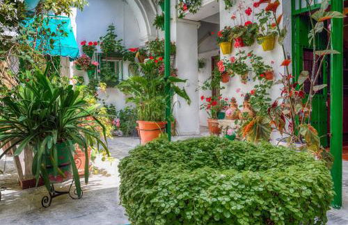 Apartamentos Jerez - Foto 15