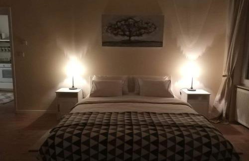 Apartments Radićeva - Foto 13