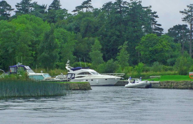3 bedroom House in Nenagh with garden - Photo 15