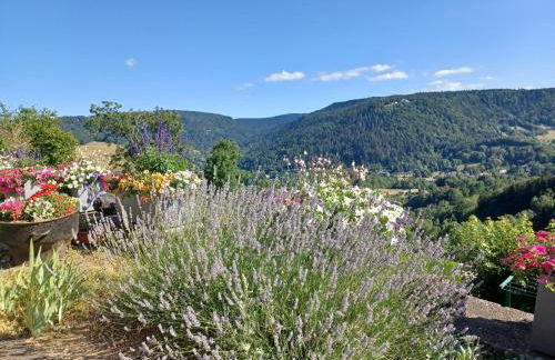 2 hébergements différents 1 gîte avec deux chambres et 1 chambre d'hôtes avec salon privé - Foto 18