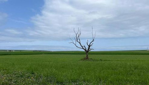 Ático con terraza en Loredo - Foto 5