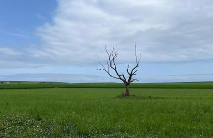 Ático con terraza en Loredo - Foto 5
