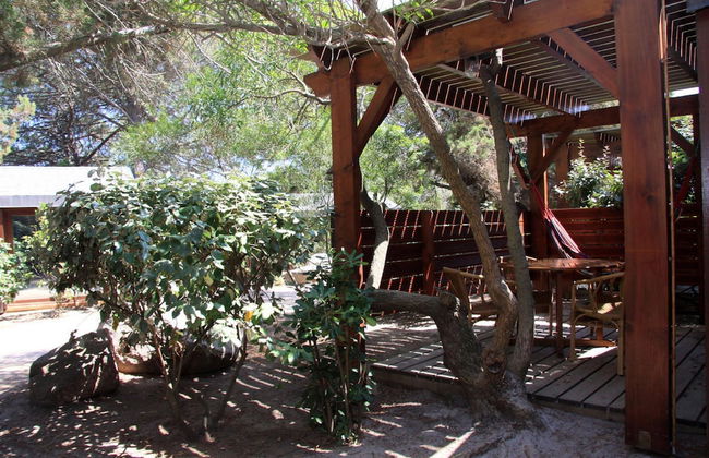 Residence Moby Dick - Foto 18