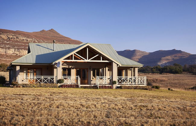 Dynasty Red Mountain Ranch - Photo 18