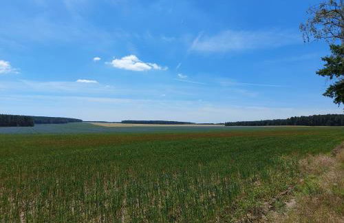 Ferienhaus Alte Schmiede - weites Land - Foto 25
