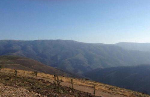 Casa da Travessa do Casal - Photo 56