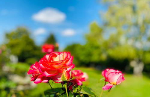 Suite Cupidon- Domaine des trois châteaux - Foto 150