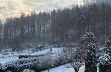 GP Ferienwohnung - Photo 13