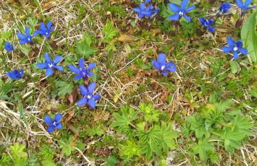 Villgraterhof - Foto 31