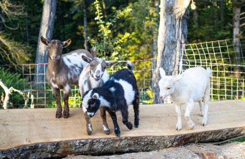 Driftwood Lodge~5 BR/7 Bath~30-acre Private Estate - Foto 51