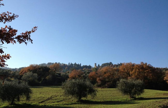 Stay With Local Flavors - Photo 30