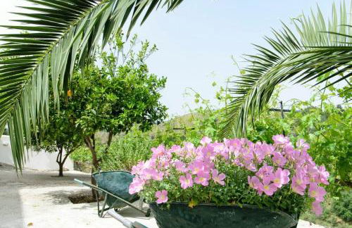 Ortaki Traditional House - Foto 25