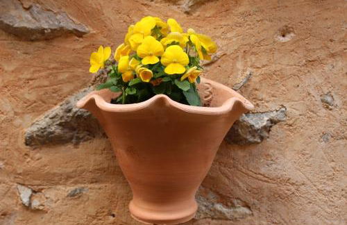 Rectoria 6 - Foto 33