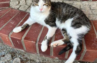 Agroturystyka Borów - pokoje - Foto 25