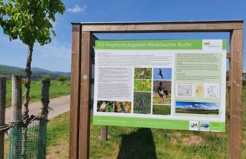 Fewo TaLuLa - Sauerland mit Hund - Foto 35