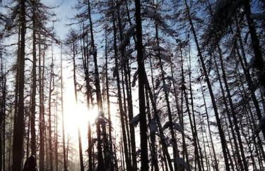 Studio au cœur de Valberg à proximité des pistes - Foto 28