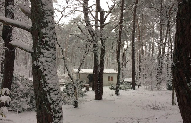 Gierle Garden Bungalow Escape - Foto 27