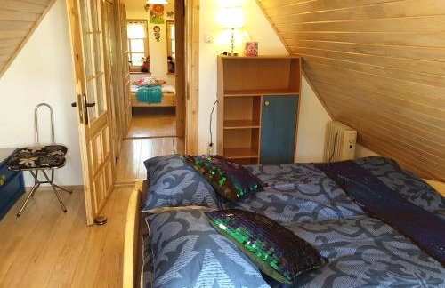 Błękitny Domek - Tleń - Bory Tucholskie - Foto 22