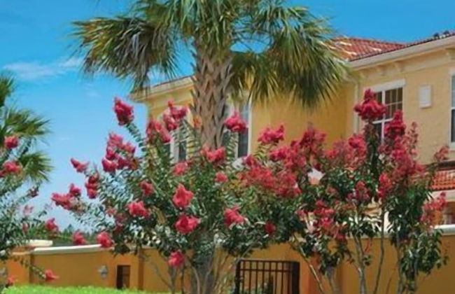 Courtyard Retreat - Foto 27